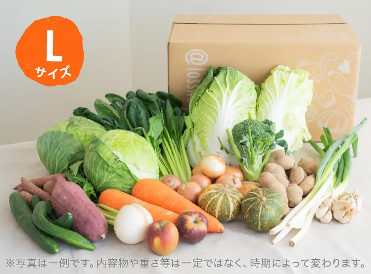 10月のお届け野菜の例(Lサイズ)