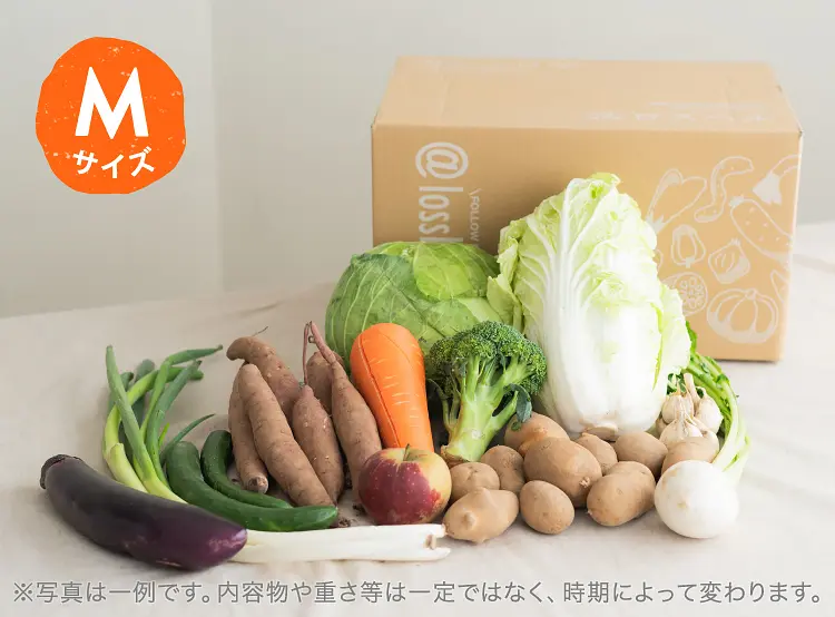 10月のお届け野菜の例(Mサイズ)