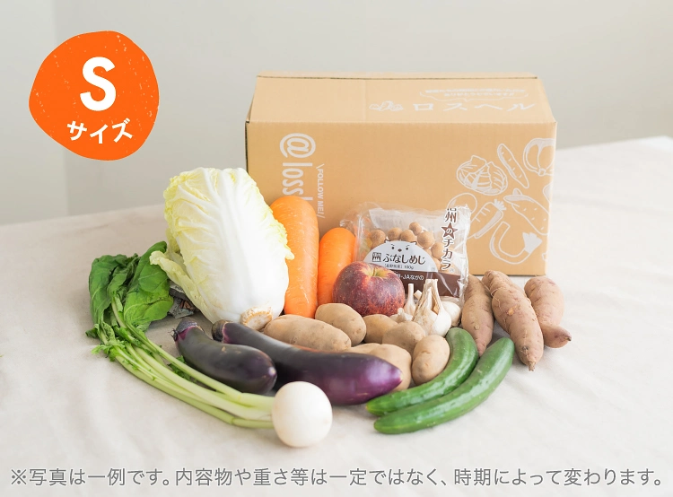 10月のお届け野菜の例(Sサイズ)