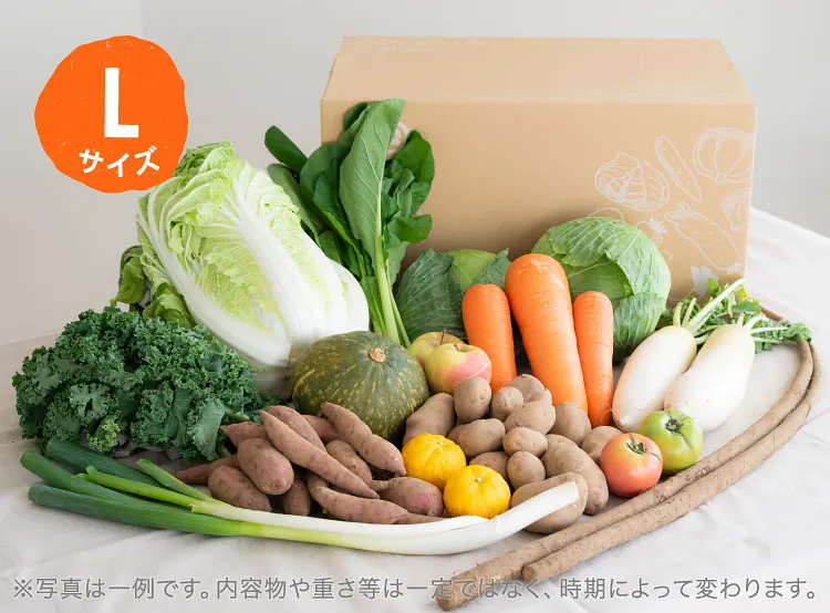 11月のお届け野菜の例(Lサイズ)