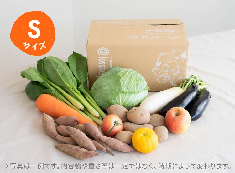 11月のお届け野菜の例(Sサイズ)