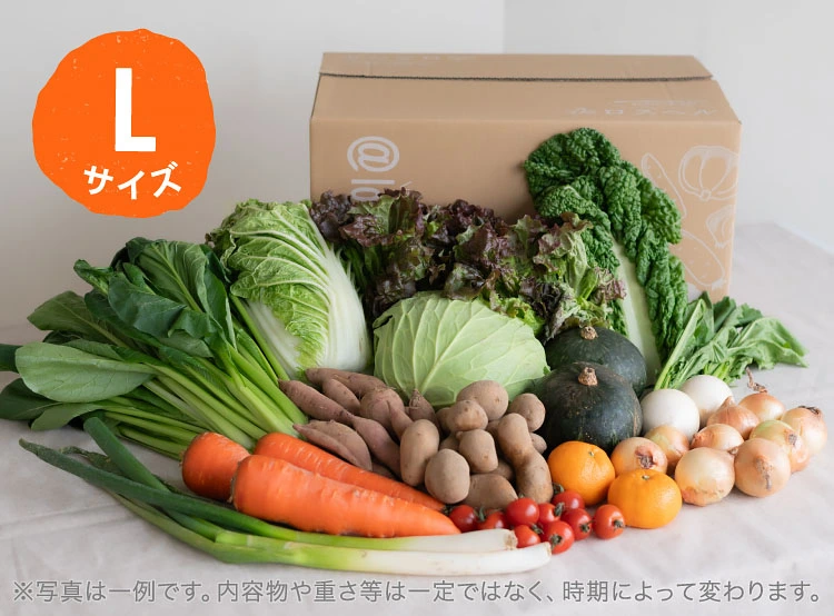 1月のお届け野菜の例(Lサイズ)
