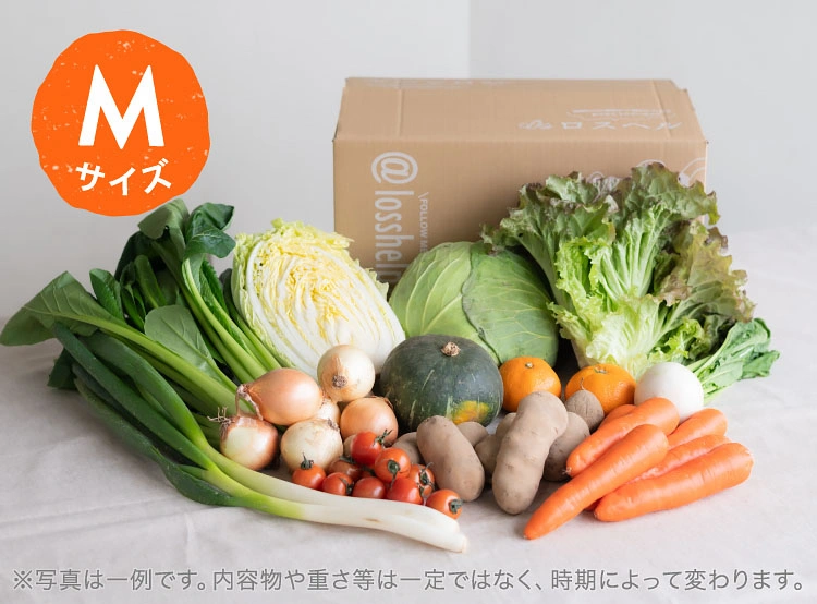 1月のお届け野菜の例(Mサイズ)