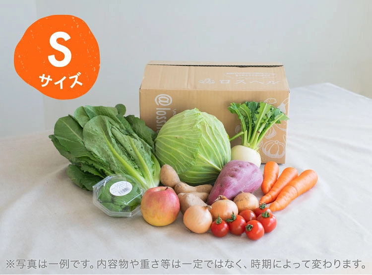 2月のお届け野菜の例(Sサイズ)