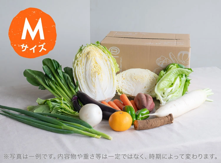 4月のお届け野菜の例(Mサイズ)