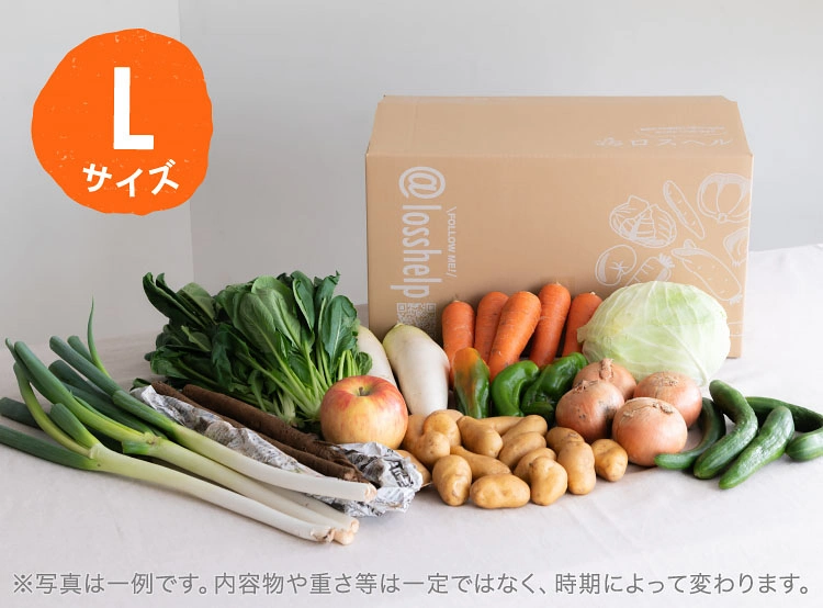 9月のお届け野菜の例(Lサイズ)