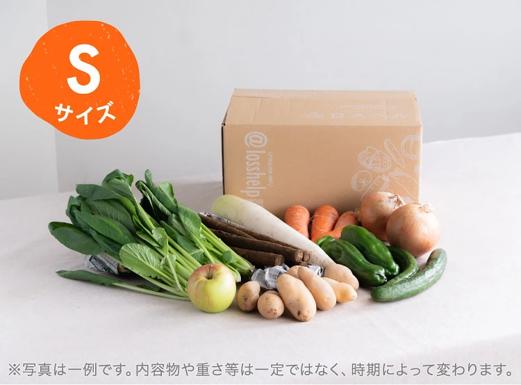 9月のお届け野菜の例(Sサイズ)