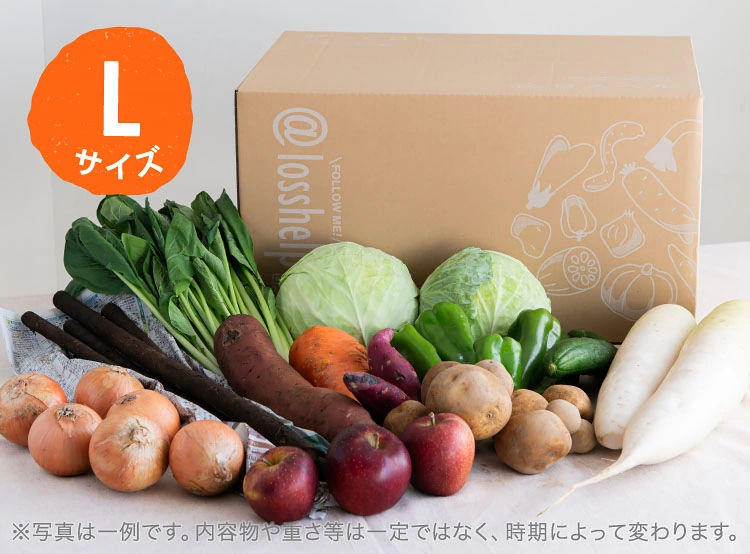 10月のお届け野菜の例(Lサイズ)