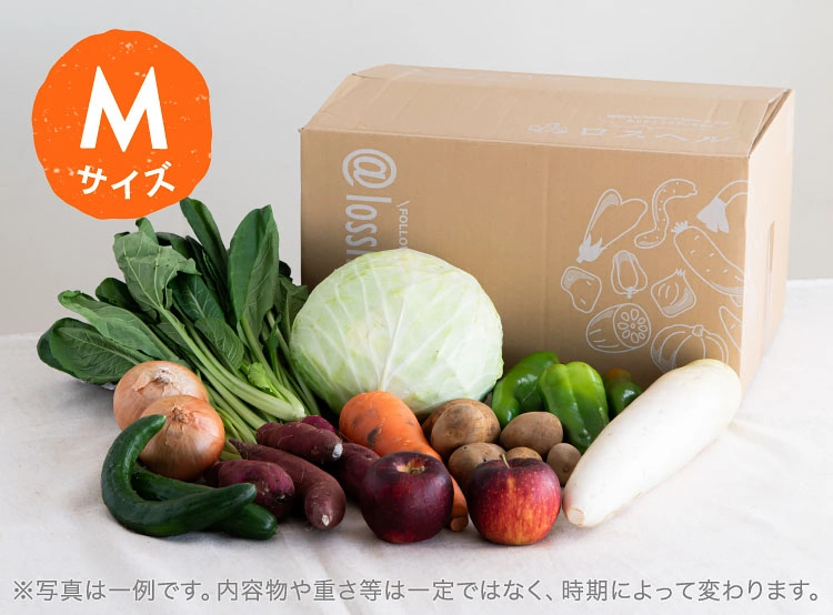 10月のお届け野菜の例(Mサイズ)