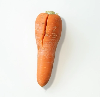 規格外野菜の例