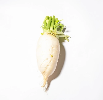 規格外野菜の例