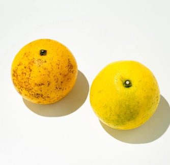 規格外野菜の例