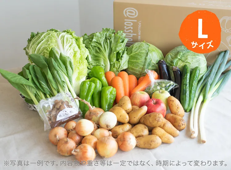 7月のお届け野菜の例(Lサイズ)
