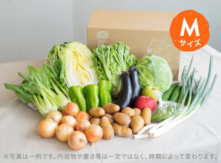 7月のお届け野菜の例(Mサイズ)