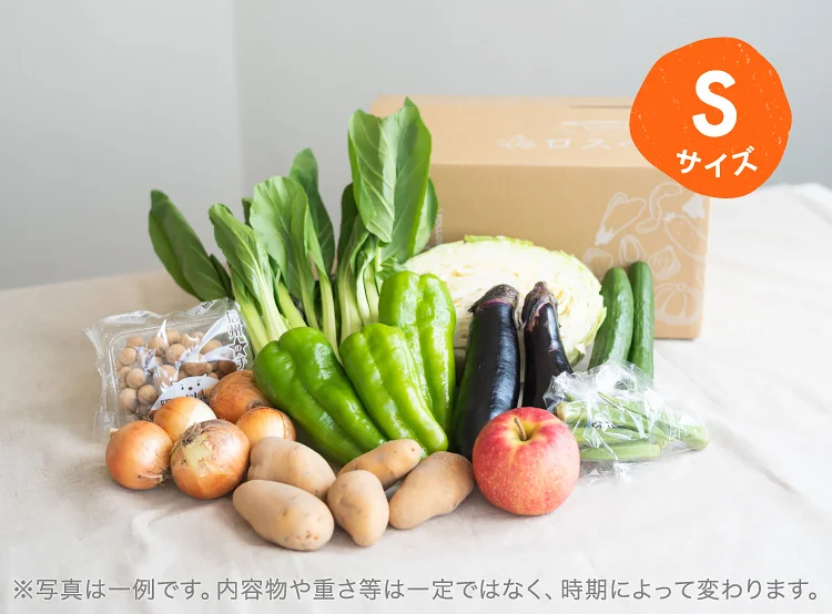 7月のお届け野菜の例(Sサイズ)