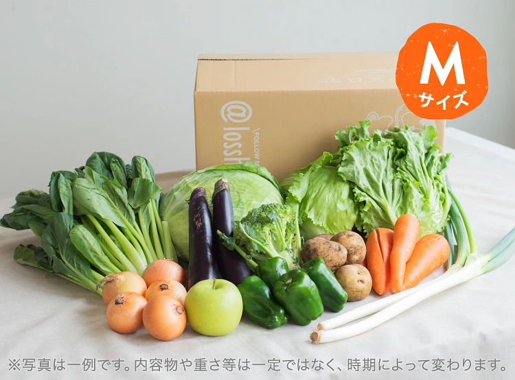 9月のお届け野菜の例(Mサイズ)