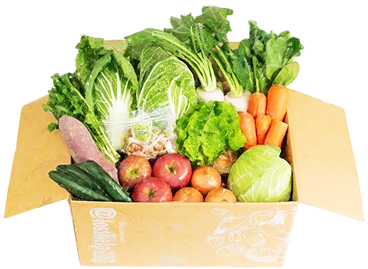 規格外野菜の詰め合わせ商品のイメージ