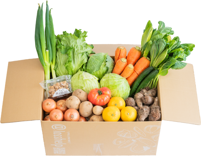 わくわくロス野菜定期パックLサイズ商品写真