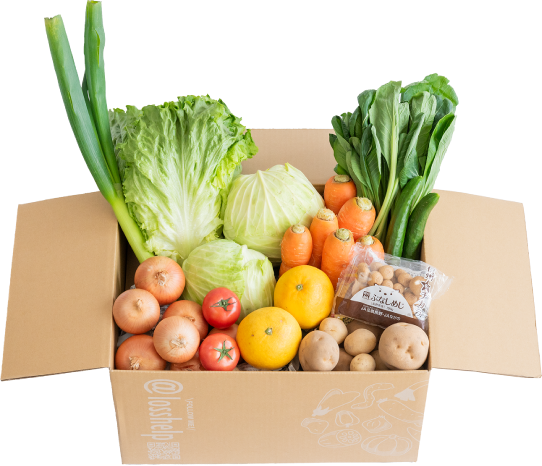 わくわくロス野菜買い切りパックMサイズ商品写真