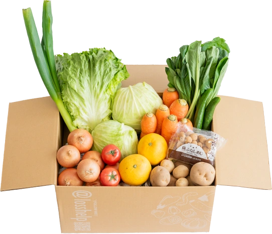 わくわくロス野菜買い切りパックMサイズ商品写真