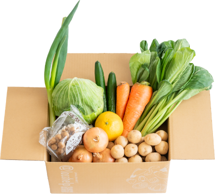 わくわくロス野菜買い切りパックSサイズ商品写真