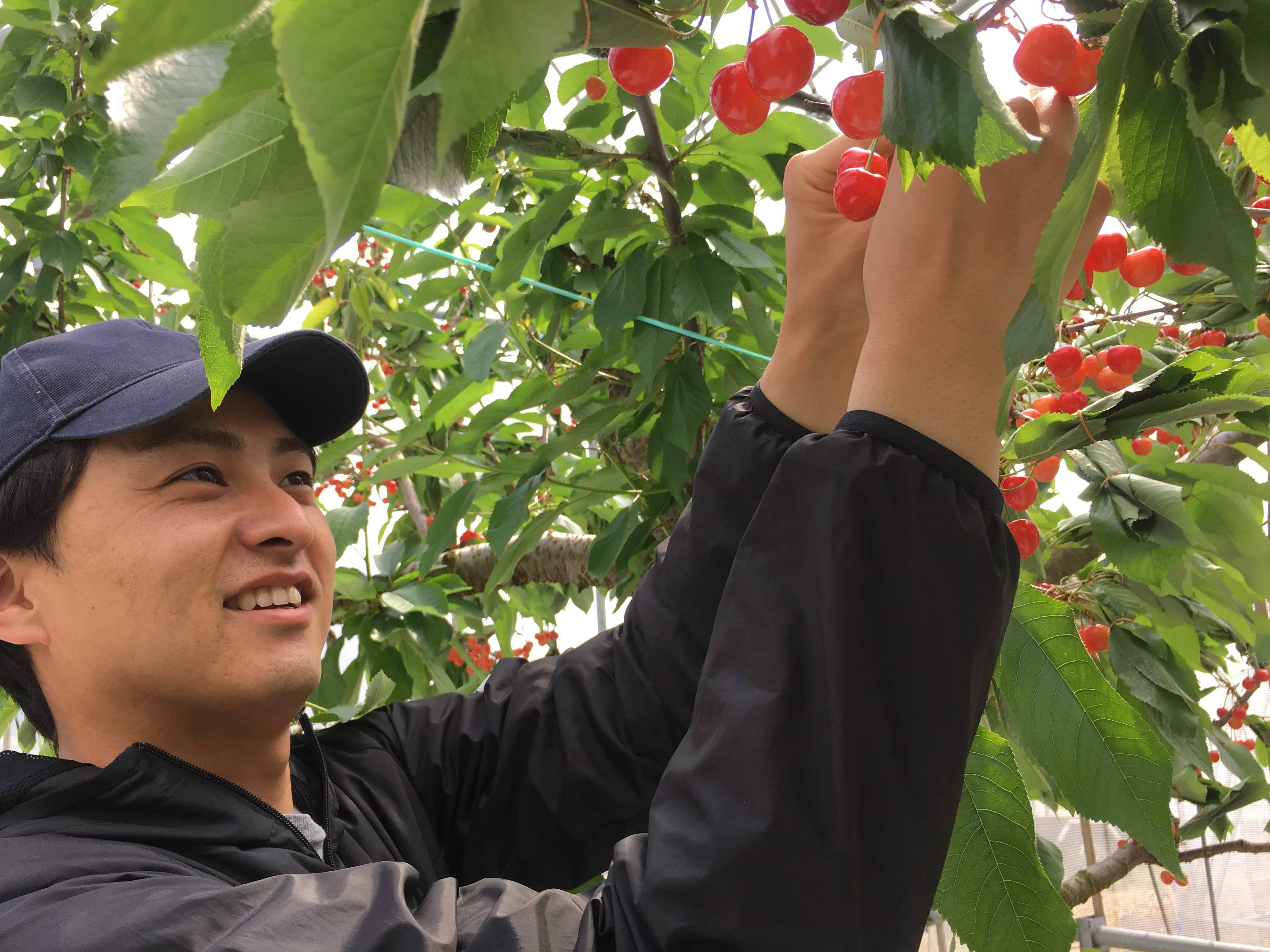 生産者紹介：フルプロ農園